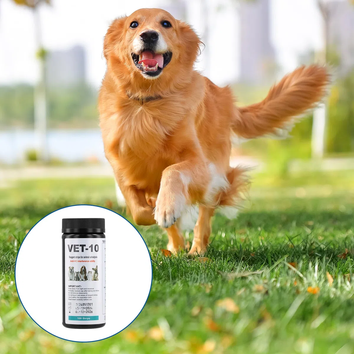 Amexo 100 Tira de Orina para Perro y Gato Pruebas de Orina de 10 Parámetros para Mascotas Análisis de Orina de Animal Detecta Infección Urinaria Diabetes