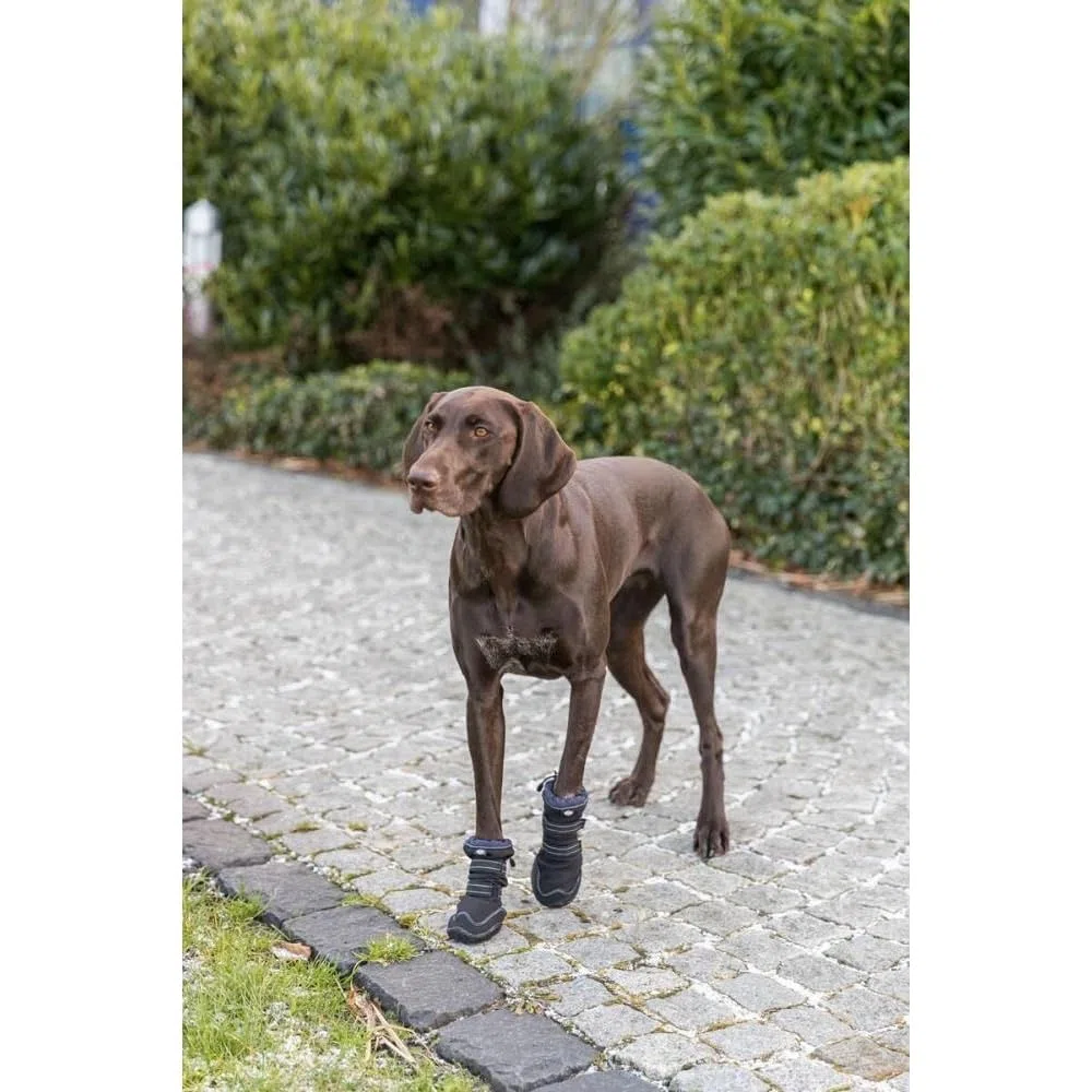 Andador de protección de Patas Activo Largo, XS–S, Negro