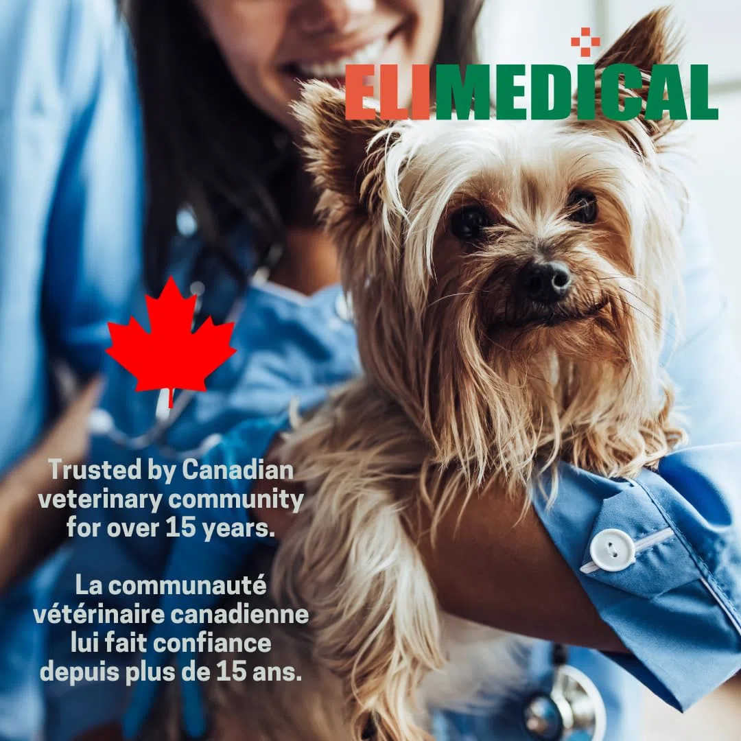 Elimedical BGMS02 Tiras de prueba de azúcar en sangre para perros y gatos diabéticos, 50 unidades por botella