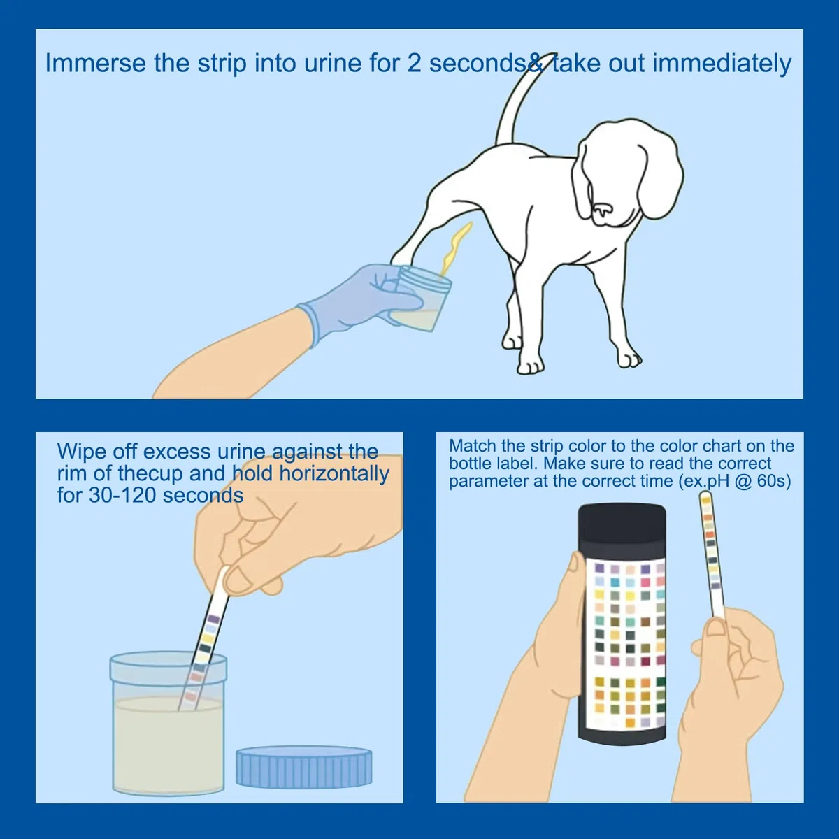 Amexo 100 Tira de Orina para Perro y Gato Pruebas de Orina de 10 Parámetros para Mascotas Análisis de Orina de Animal Detecta Infección Urinaria Diabetes